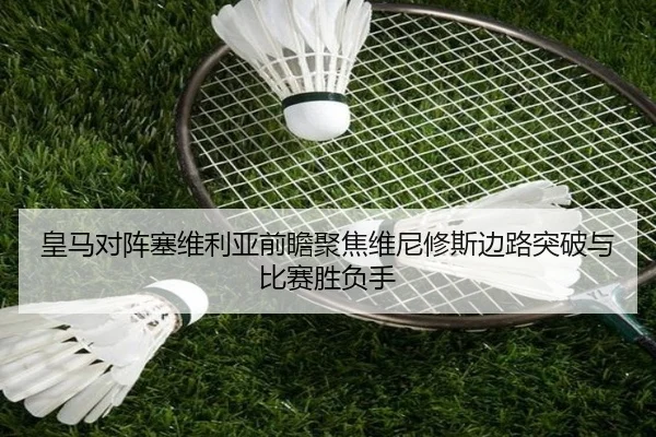 img_1782406999290_408_1_264.jpg
